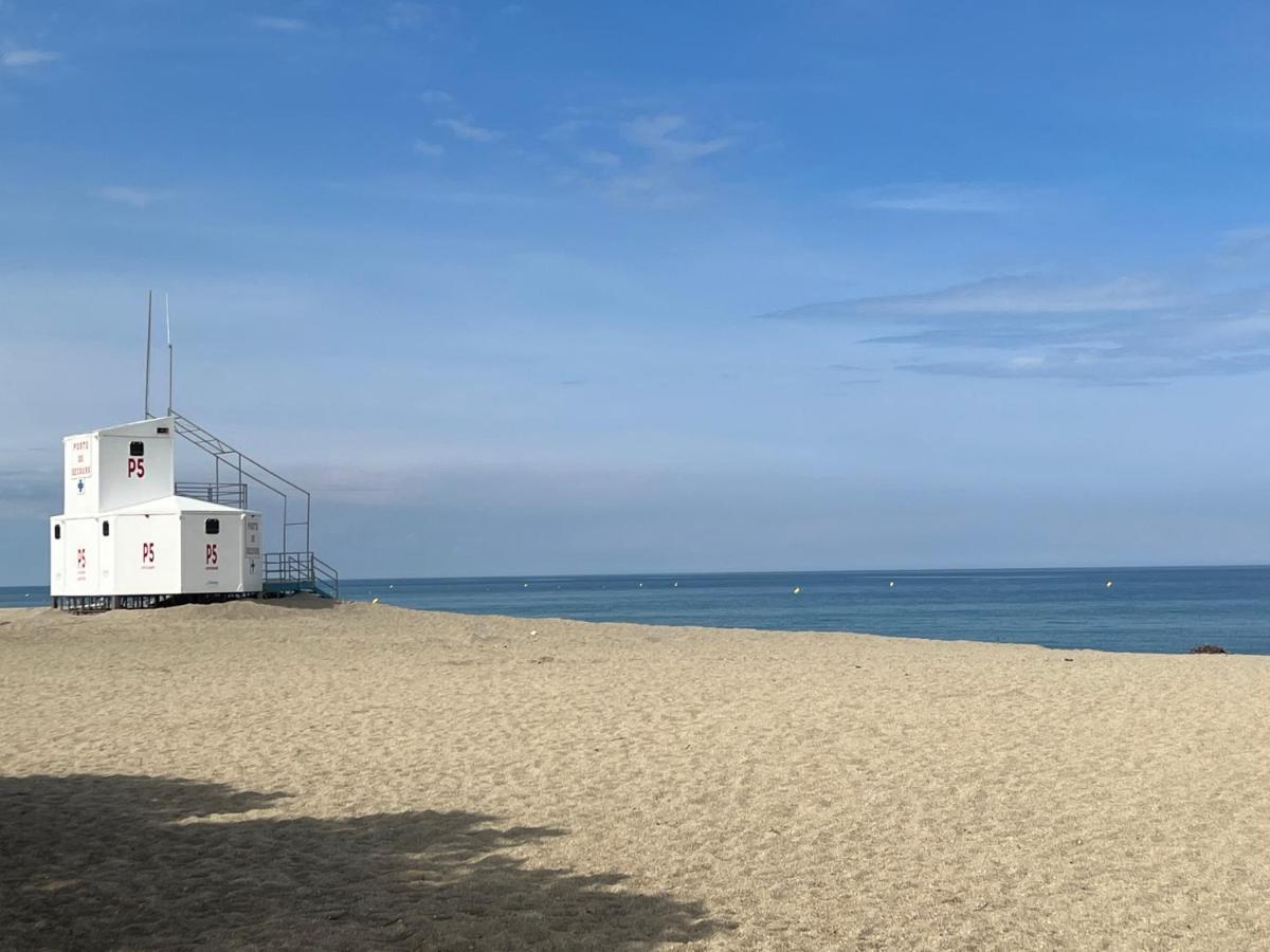 Grand F3 Vue Mer Centre Plage Proche Commerces Plage dʼArgelès Kültér fotó