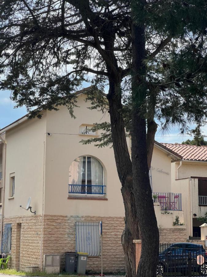 Grand F3 Vue Mer Centre Plage Proche Commerces Plage dʼArgelès Kültér fotó