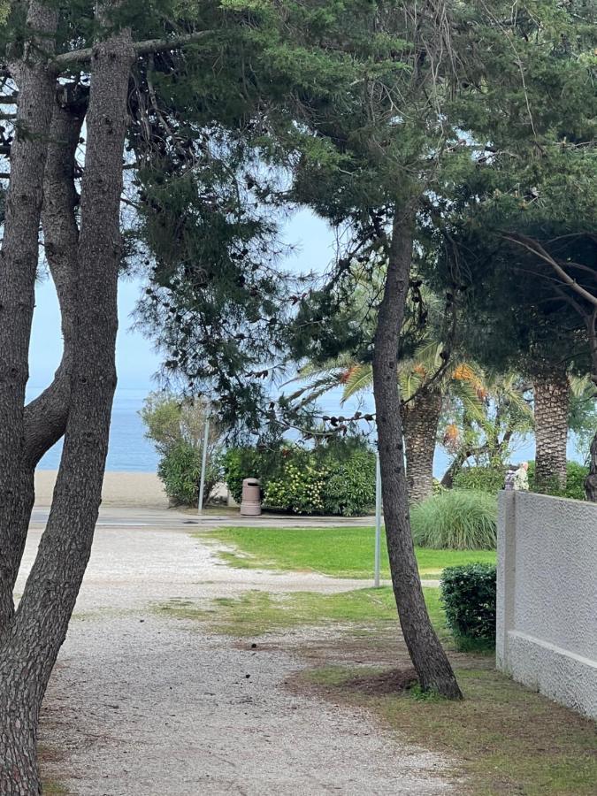 Grand F3 Vue Mer Centre Plage Proche Commerces Plage dʼArgelès Kültér fotó